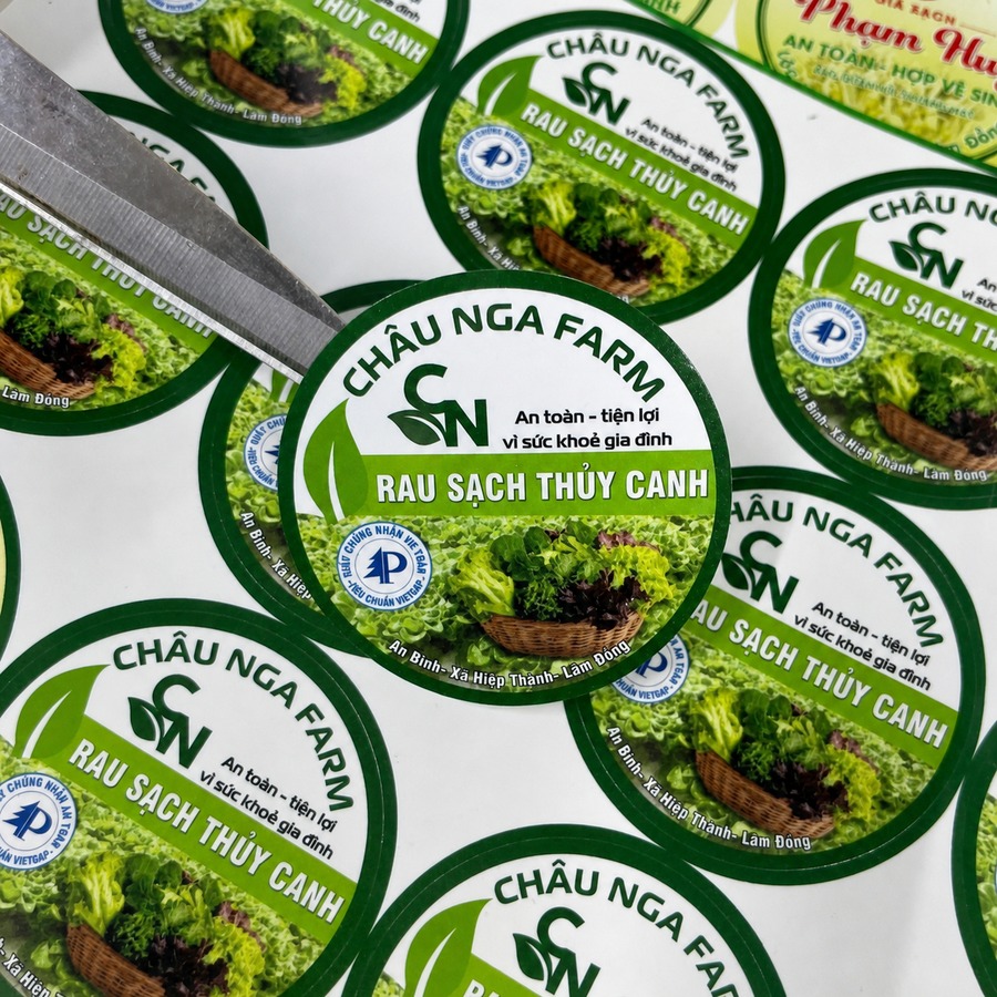 Mẫu in tem nhãn rau sạch